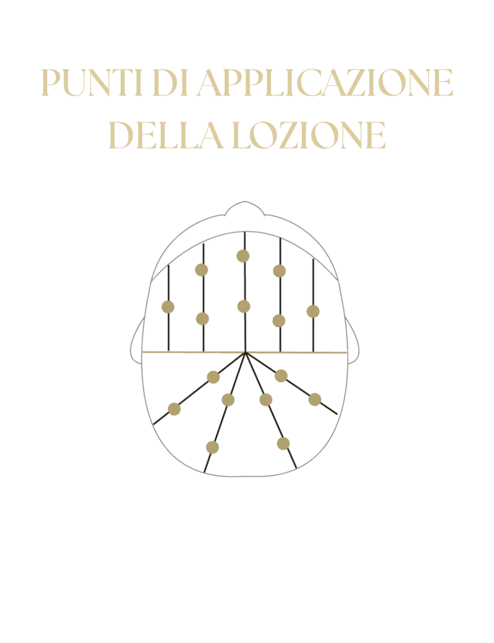 Cotril Life Anti-Hair Loss Intensive Scalp Lotion